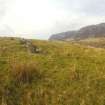 Digital photograph of panorama, from Scotland's Rock Art Project, Carr, Highland