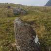 Digital photograph of panel in context with scale, from Scotland's Rock Art Project, Carr, Highland