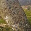 Digital photograph of panel to north, from Scotland's Rock Art Project, Carr, Highland