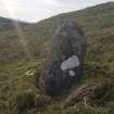 Digital photograph of panel in context without scale, from Scotland's Rock Art Project, Carr, Highland