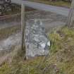 Digital photograph of rock art panel context, Scotland's Rock Art Project, Culburnie, Highland