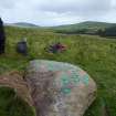 Digital photograph of rock art panel context, Scotland's Rock Art Project, Strath Sgitheach Balnacrae Lower, Highland