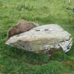 Digital photograph of rock art panel context, Scotland's Rock Art Project, Strath Sgitheach Balnacrae Lower, Highland