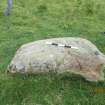 Digital photograph of panel to south, Scotland's Rock Art Project, Strath Sgitheach Balnacrae Lower, Highland