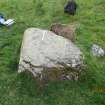 Digital photograph of panel to west, Scotland's Rock Art Project, Strath Sgitheach Balnacrae Lower, Highland