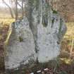 Digital photograph of rock art panel context, Scotland's Rock Art Project, Camus's Stone, Moray