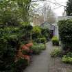 Millerfield Place west side . View of linked rear gardens.