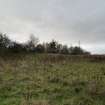 The Antonine Wall, Carleith Farm, Geophysical Survey