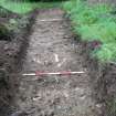 Survey photograph, Direction  to W, Trench 2 post-ex,  Ardanaiseig Hotel, Loch Awe