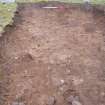 Watching Brief photograph, Redeposited topsoil, looking SE, Crathes Castle Stables