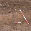 Excavation photograph, Context 7, new Mearns Academy site, Laurencekirk, Aberdeenshire
