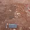Excavation photograph, Context 17 looking N, new Mearns Academy site, Laurencekirk, Aberdeenshire
