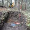Evaluation photograph, Trench 2 looking W, Proposed play area, Brodie Castle, Moray