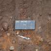 Evaluation photograph, Trench 3 looking W (tree root left across centre of trench), Proposed play area, Brodie Castle, Moray