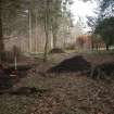 Evaluation photograph, Looking E from the W limit of the proposed development, Proposed play area, Brodie Castle, Moray