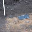 Evaluation photograph, Trench 4 with ranging rod beside N side of feature 4, Proposed play area, Brodie Castle, Moray