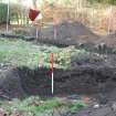 Evaluation photograph, Looking W across Trench 4 (foreground) and Trench 1. Ranging rods indicate feature 4, Proposed play area, Brodie Castle, Moray