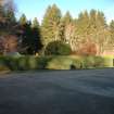 Evaluation photograph, Looking NE across the yard from the castle towards the hedge that screens the S side of the site, Proposed play area, Brodie Castle, Moray