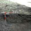 Watching Brief photograph, view showing depth of soil below the S line of cobbles, looking N, Barra Castle 