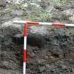 Watching Brief photograph, view showing depth of soil below the S line of cobbles, looking N, Barra Castle 