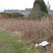 Survey photograph of Garden, vegetable garden, Blairs College and Estate 