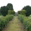 Survey photograph of Garden, formal garden looking S to pond, Blairs College and Estate