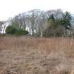 Survey photograph of Gardeners Cottage, view from vegetable garden, Blairs College and Estate 