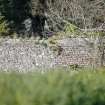 Survey photograph of Garden, end of brick lining at N end of W wall in formal garden, Blairs College and Estate 