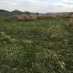 View from S of hut within enclosure