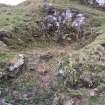 View of hut from SW