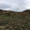 Ms A McCaig and Mr D Bratt surveying hut circle. View from N.