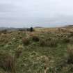 Ms A McCaig and Mr D Bratt surveying hut circle. View from S