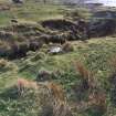 View from the NW of the site of the mill, millstone and drainage ditch