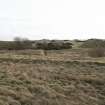 View from NW of WW1 blast mounds (of two of the three Final Wash Houses) of former Nitroglycerine Hill No.3 reused, in WW2 for Nissen Hut magazines