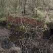 View of flooded furnace-pit