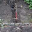 Photography: Trench 2 deep garden soil, Facing  S, 53 College Bounds, Old Aberdeen, Aberdeenshire 
