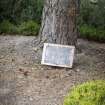 Memorial plaque below Pine Tree in Heather Garden