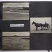 On-line Digital Images