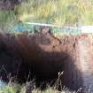 Trial Pit photograph, Film 1, TP 16, East facing section of trench, Taken from E, Taken from, Amlaird