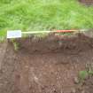 Trial Pit photograph, Film 1, TP 1, North west facing section of trench, Taken from NW, Amlaird