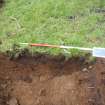 Trial Pit photograph, Film 1, TP 6, Southwest facing section of trench, Taken from SW, Amlaird