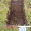 Trial Pit photograph, Film 1, Barr's TP 3, Post-excavation shot of trench, Taken from NE, Amlaird