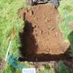 Trial Pit photograph, Film 1, TP 12, Post-excavation shot of trench, Taken from S, Amlaird