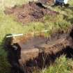 Trial Pit photograph, Film 1, Barr's TP 5, East facing section of trench, Taken from E, Amlaird