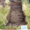 Trial Pit photograph, Film 1, Barr's TP 6, Post-excavation shot of trench, Taken from W