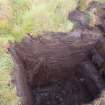 Trial Pit photograph, Film 1, Barr's TP 8, East facing section of trench, Taken from E, Amlaird