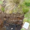 Trial Pit photograph, Film 1, E.R. TP 3, North facing section of trench, Taken from N, Amlaird