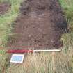 Trial Pit photograph, Film 1, E.R. TP 4 (new), Post-excavation shot of trench, Taken from SW, Amlaird