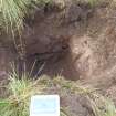 Trial Pit photograph, Film 1, E.R. TP 1, Post-excavation shot of trial pit, Taken from, Amlaird
