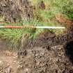 Trial Pit photograph, Film 1, TP 13, Southwest facing section of trench, Taken from SW, Amlaird